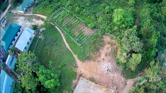 Additional News Image